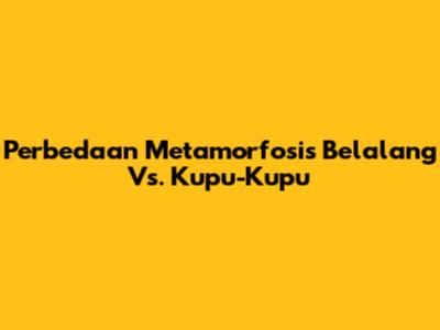 Perbedaan Metamorfosis Belalang Vs. Kupu-Kupu