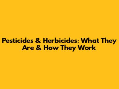 Pesticides & Herbicides: What They Are & How They Work