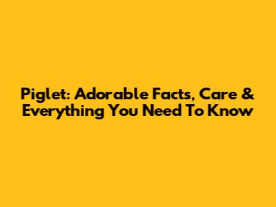 Piglet: Adorable Facts, Care & Everything You Need To Know