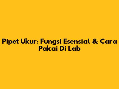 Pipet Ukur: Fungsi Esensial & Cara Pakai Di Lab