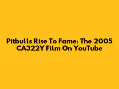 Pitbull's Rise To Fame: The 2005 CA322Y Film On YouTube