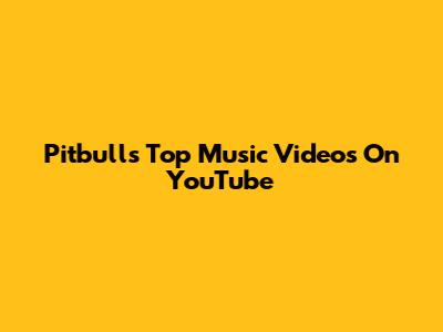 Pitbull's Top Music Videos On YouTube