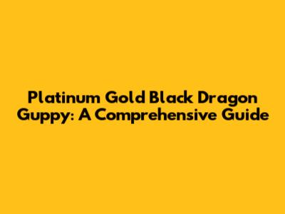 Platinum Gold Black Dragon Guppy: A Comprehensive Guide