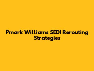 Pmark Williams' SEDI Rerouting Strategies