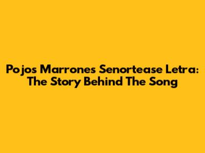 Pojos Marrones Senortease Letra: The Story Behind The Song