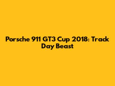 Porsche 911 GT3 Cup 2018: Track Day Beast