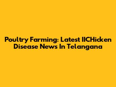 Poultry Farming: Latest IICHicken Disease News In Telangana