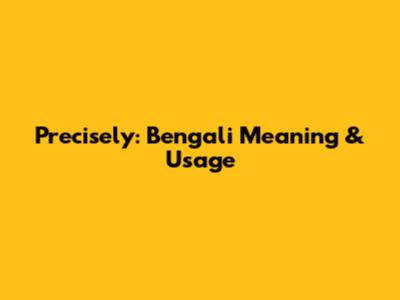 Precisely: Bengali Meaning & Usage