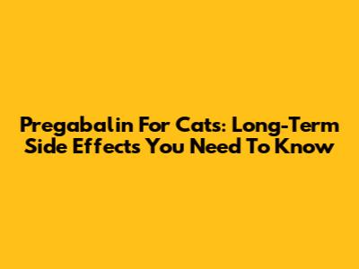 Pregabalin For Cats: Long-Term Side Effects You Need To Know