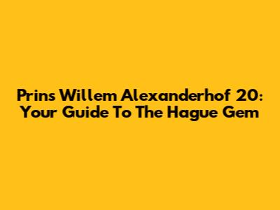 Prins Willem Alexanderhof 20: Your Guide To The Hague Gem