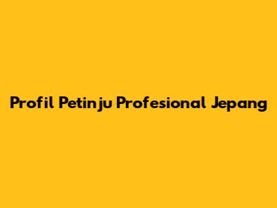 Profil Petinju Profesional Jepang