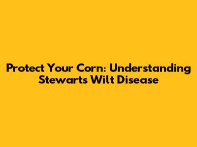 Protect Your Corn: Understanding Stewart's Wilt Disease