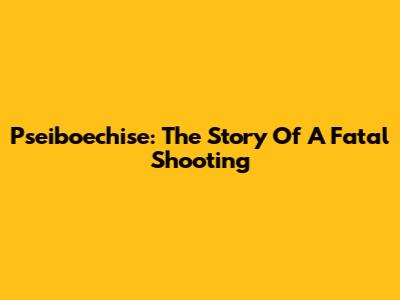 Pseiboechise: The Story Of A Fatal Shooting