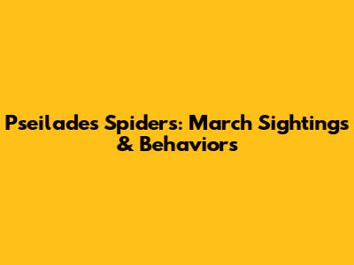 Pseilades Spiders: March Sightings & Behaviors