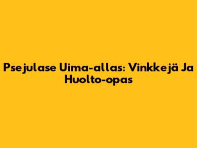 Psejulase Uima-allas: Vinkkejä Ja Huolto-opas