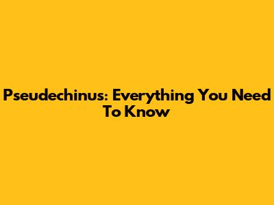 Pseudechinus: Everything You Need To Know