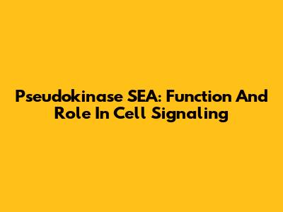 Pseudokinase SEA: Function And Role In Cell Signaling