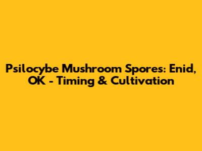 Psilocybe Mushroom Spores: Enid, OK - Timing & Cultivation
