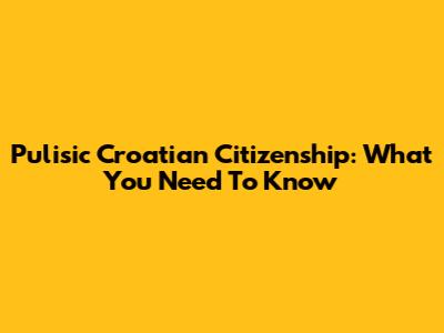 Pulisic Croatian Citizenship: What You Need To Know