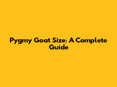 Pygmy Goat Size: A Complete Guide