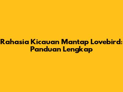 Rahasia Kicauan Mantap Lovebird: Panduan Lengkap