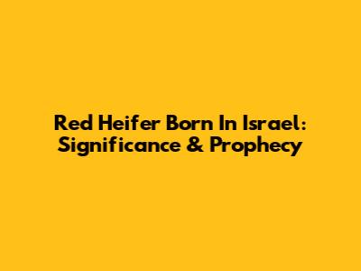Red Heifer Born In Israel: Significance & Prophecy