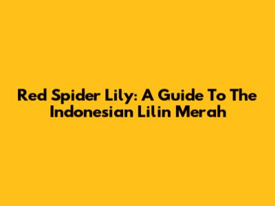 Red Spider Lily: A Guide To The Indonesian 'Lilin Merah'