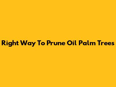 Right Way To Prune Oil Palm Trees