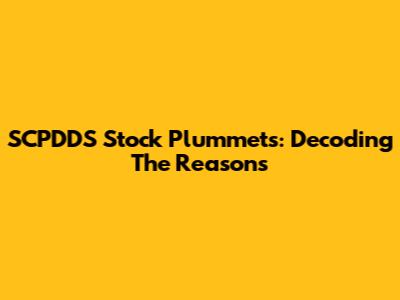 SCPDDS Stock Plummets: Decoding The Reasons