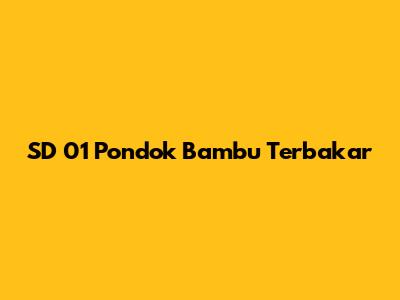 SD 01 Pondok Bambu Terbakar