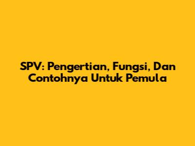 SPV: Pengertian, Fungsi, Dan Contohnya Untuk Pemula