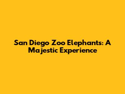 San Diego Zoo Elephants: A Majestic Experience