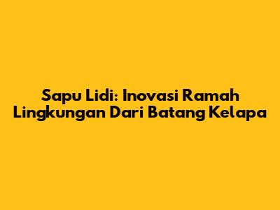 Sapu Lidi: Inovasi Ramah Lingkungan Dari Batang Kelapa