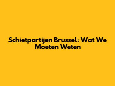 Schietpartijen Brussel: Wat We Moeten Weten