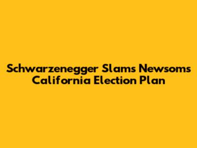 Schwarzenegger Slams Newsom's California Election Plan