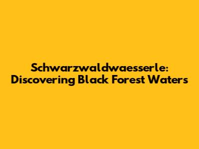 Schwarzwaldwaesserle: Discovering Black Forest Waters