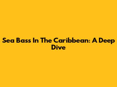 Sea Bass In The Caribbean: A Deep Dive