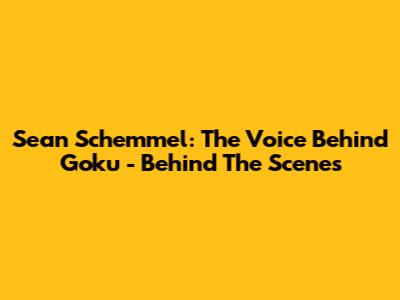 Sean Schemmel: The Voice Behind Goku - Behind The Scenes