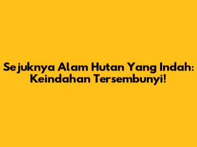 Sejuknya Alam Hutan Yang Indah: Keindahan Tersembunyi!