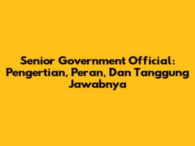 Senior Government Official: Pengertian, Peran, Dan Tanggung Jawabnya