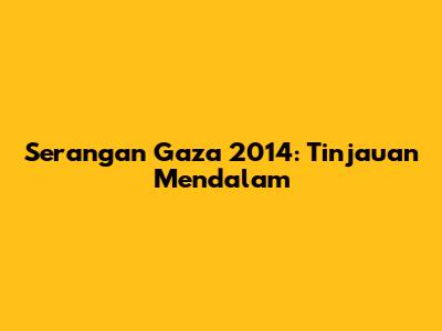 Serangan Gaza 2014: Tinjauan Mendalam