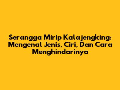 Serangga Mirip Kalajengking: Mengenal Jenis, Ciri, Dan Cara Menghindarinya