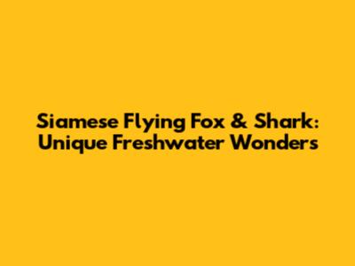 Siamese Flying Fox & Shark: Unique Freshwater Wonders