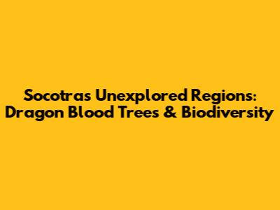 Socotra's Unexplored Regions: Dragon Blood Trees & Biodiversity