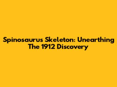 Spinosaurus Skeleton: Unearthing The 1912 Discovery