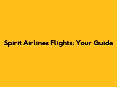 Spirit Airlines Flights: Your Guide