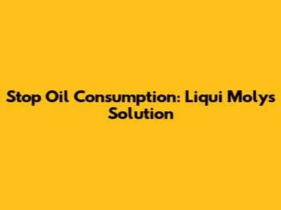 Stop Oil Consumption: Liqui Moly's Solution