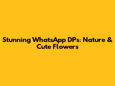 Stunning WhatsApp DPs: Nature & Cute Flowers