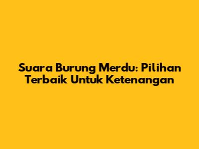 Suara Burung Merdu: Pilihan Terbaik Untuk Ketenangan