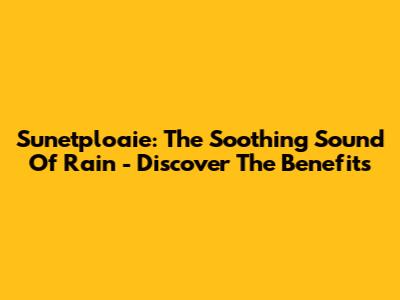 Sunetploaie: The Soothing Sound Of Rain - Discover The Benefits